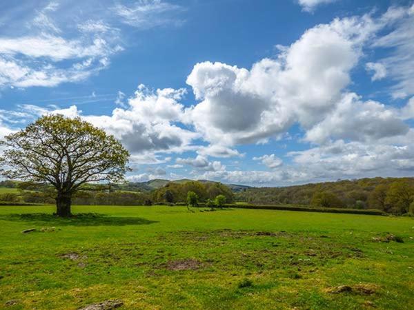 Brynhir Farm Villa Llandrindod Wells Exteriör bild